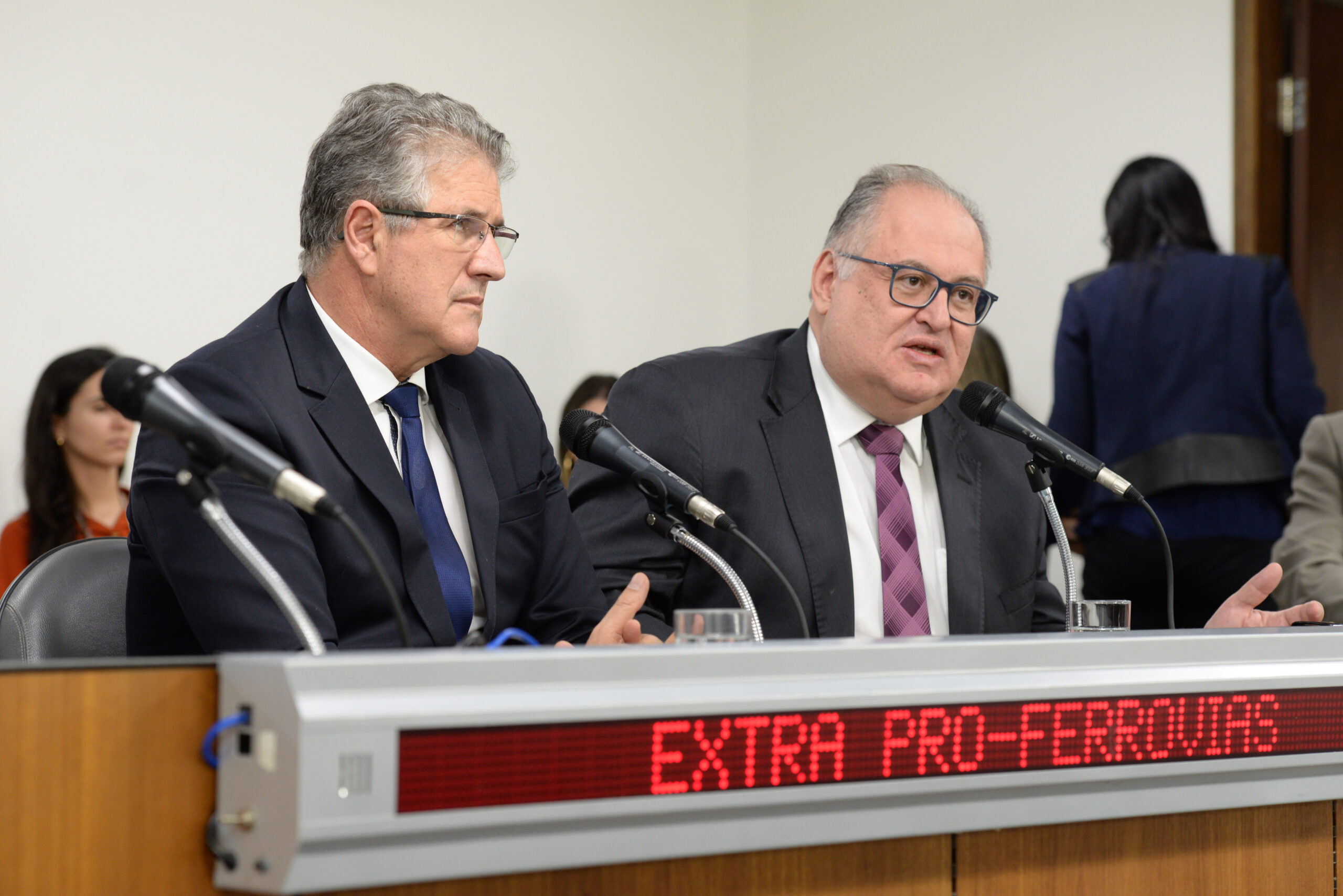Comissão Extraordinária Pró-Ferrovias Mineiras - análise de proposições