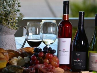 {{brizy_dc_image_alt entityId=