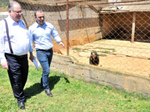 {{brizy_dc_image_alt entityId=